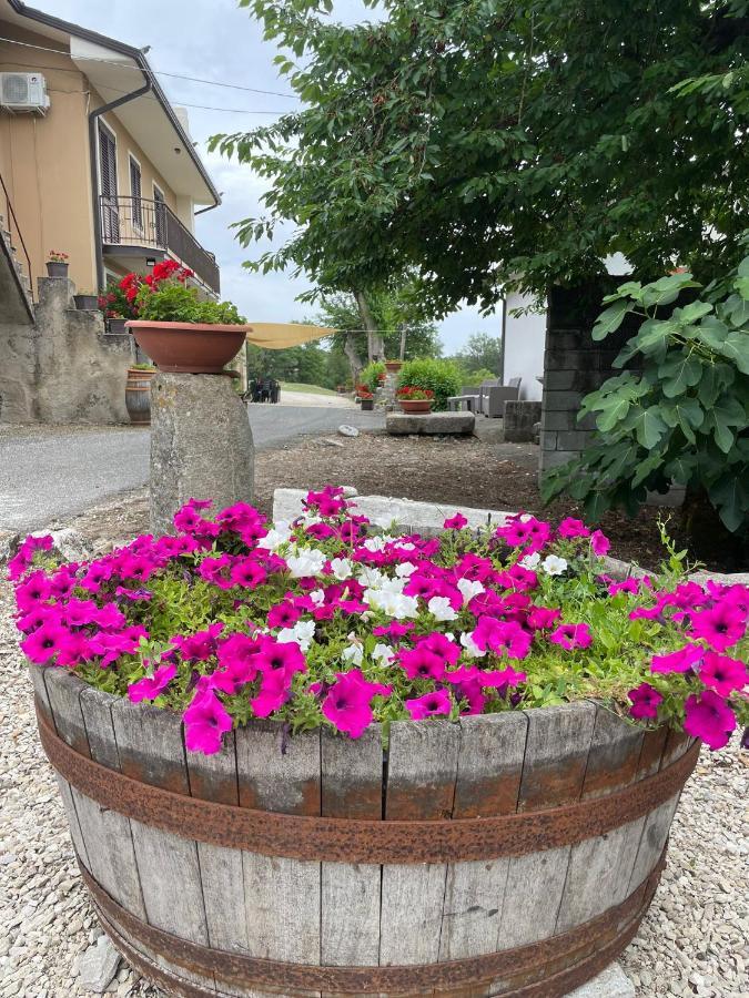 B&B Relais Aeclanum Mirabella Eclano Extérieur photo